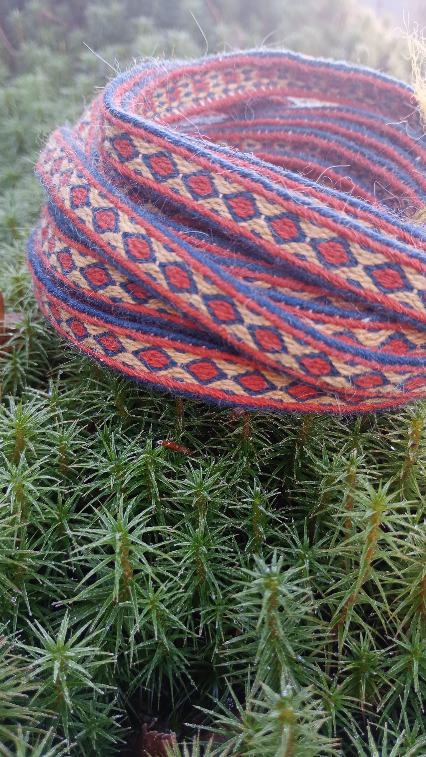 Trim from Raisio Ihala, object KM 142575:275 y
