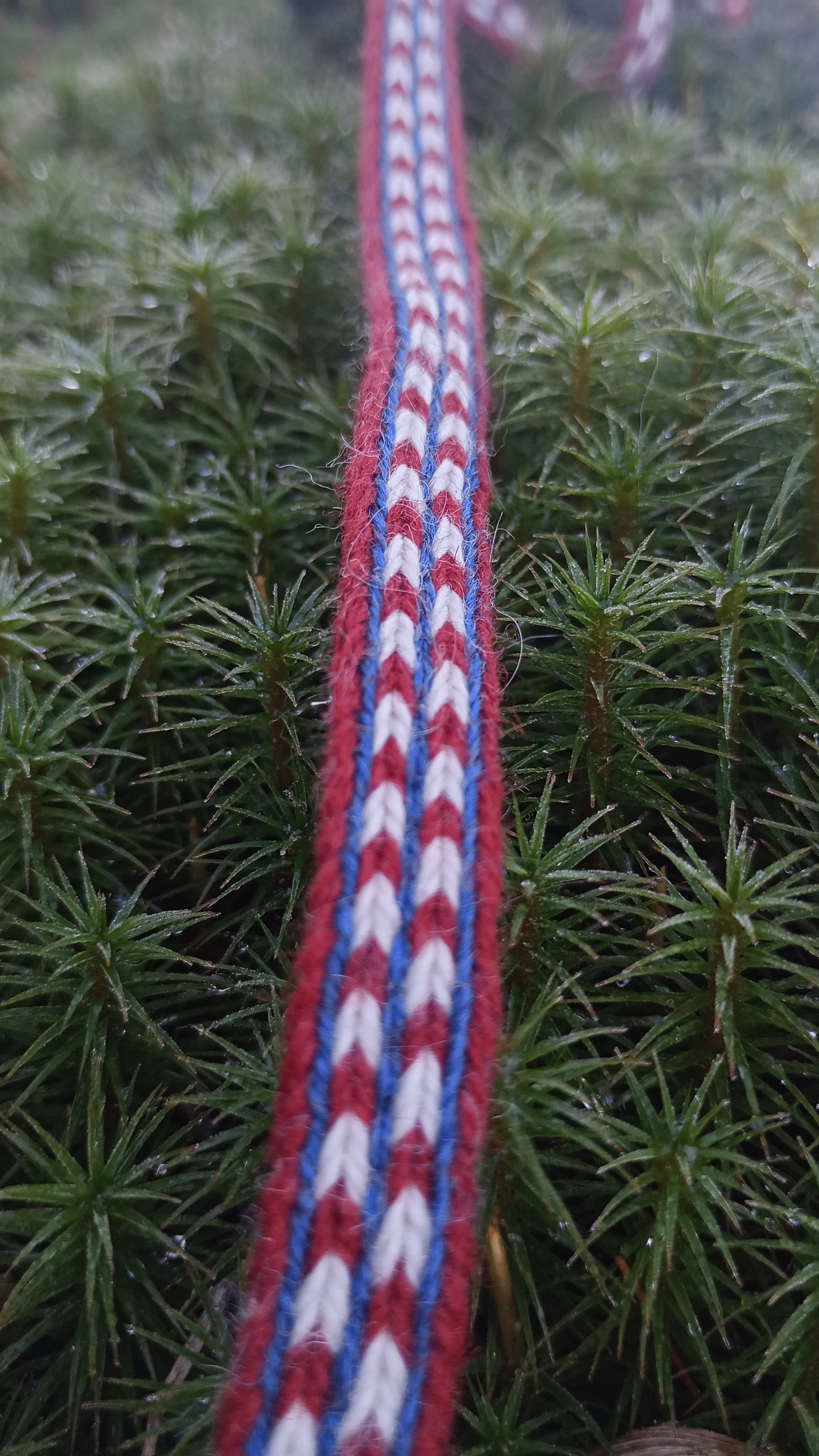 Trim from Kaarina Kirkkomäki, object KM 27025:27095