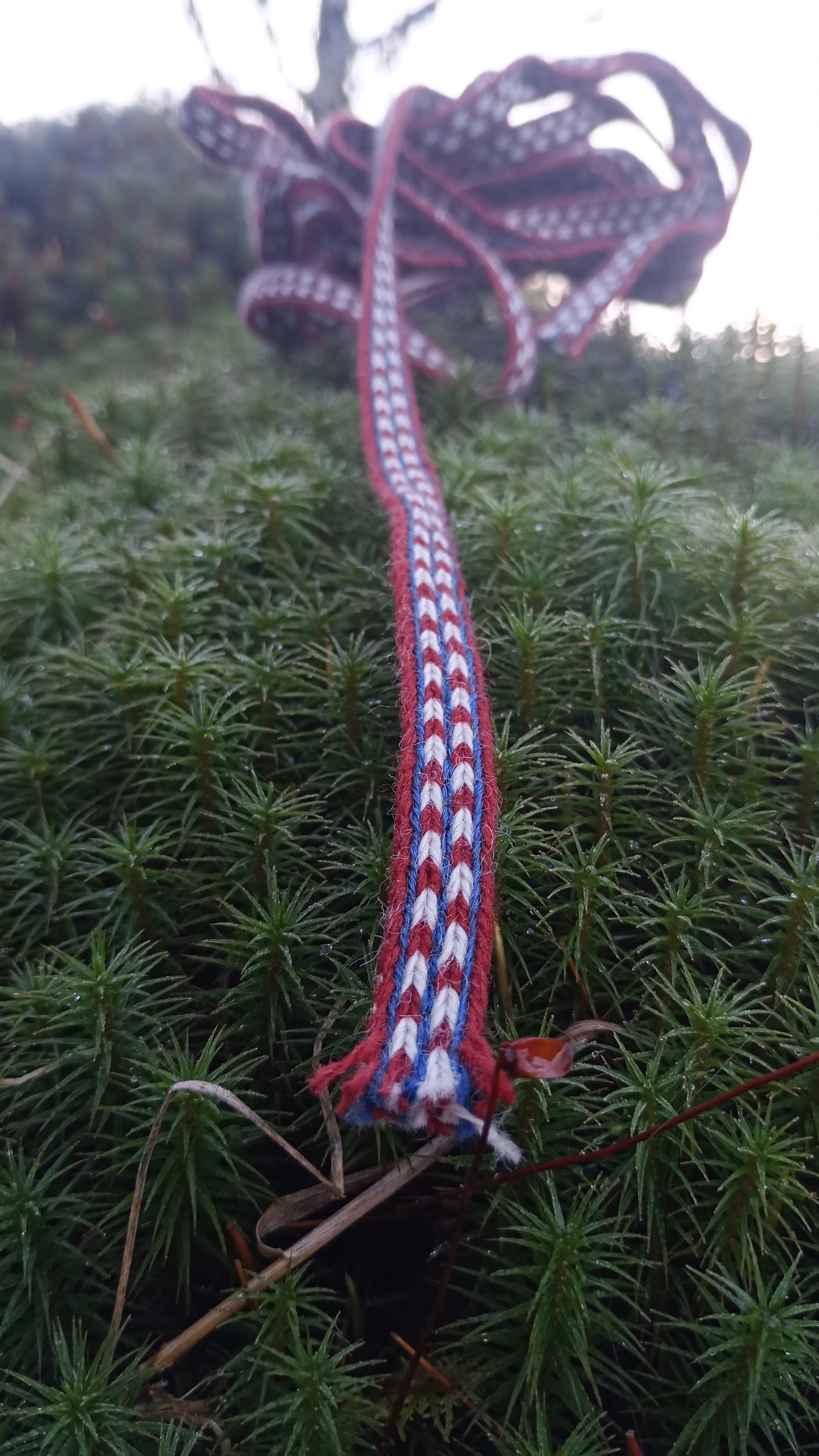 Trim from Kaarina Kirkkomäki, object KM 27025:27095