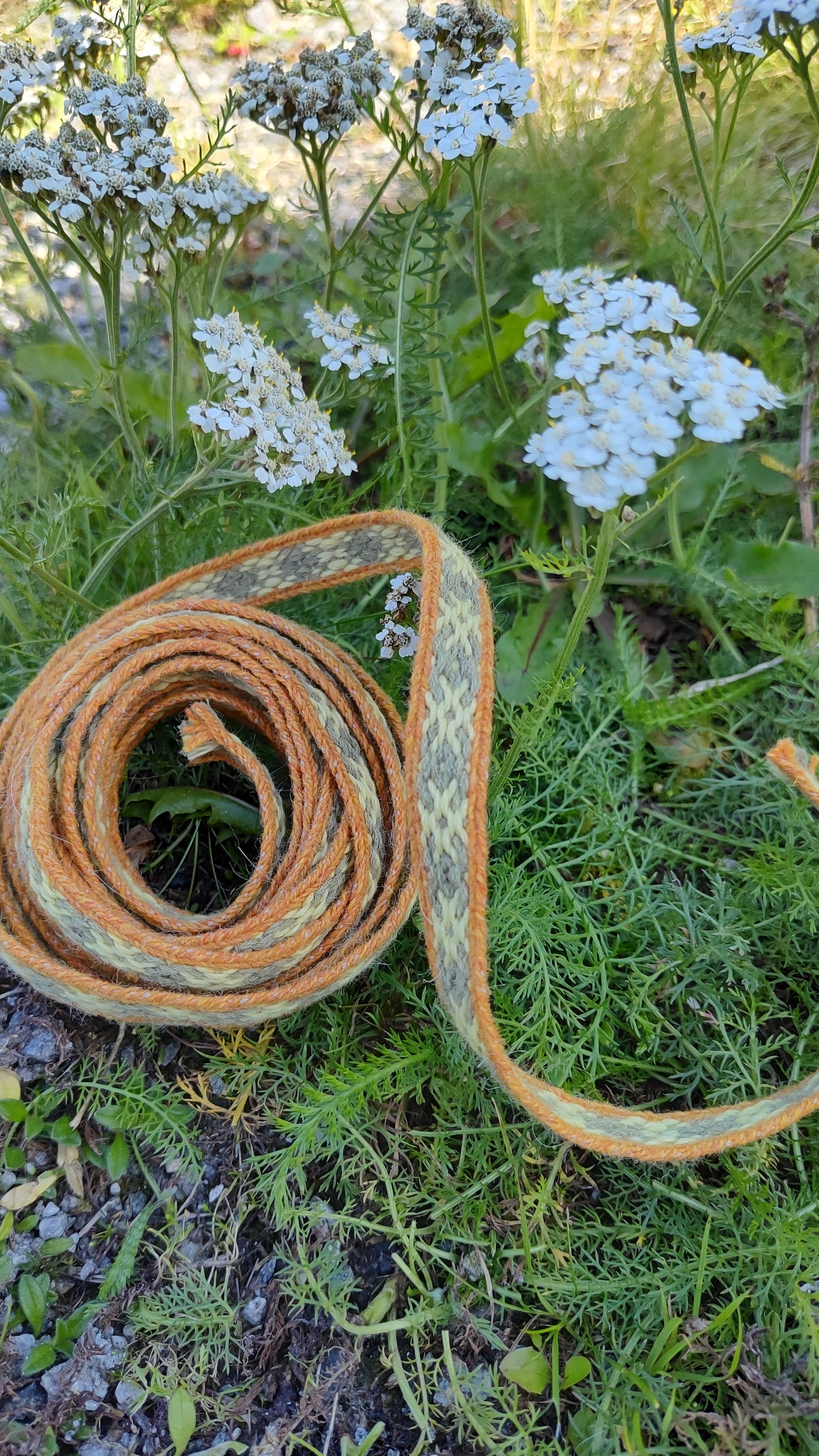 Narrow ⨳ trim (plant dyed yarns)