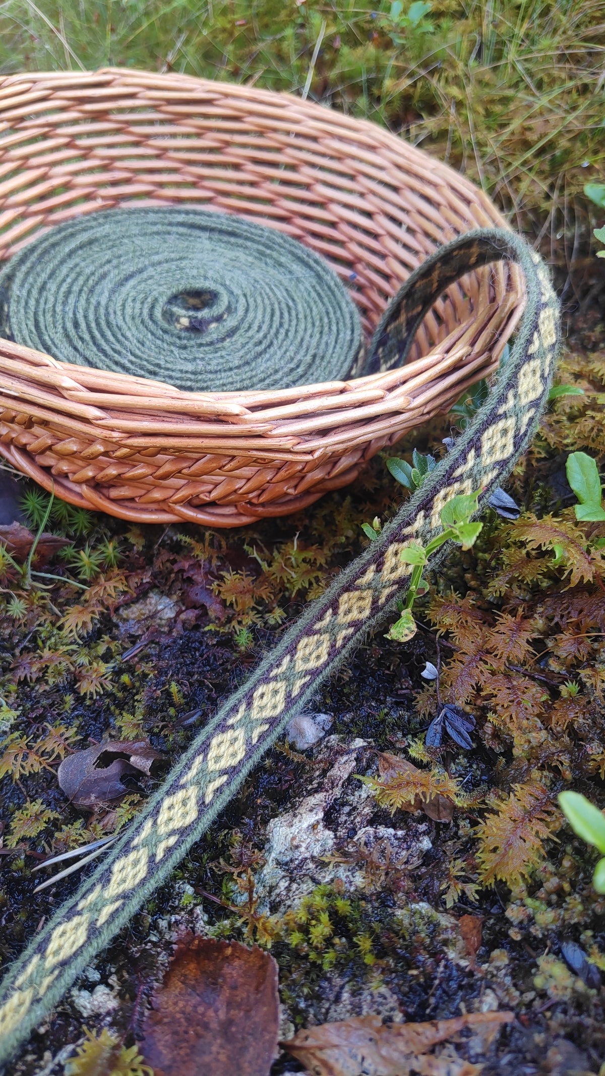 4,8m Hallstatt III ribbon, celtic pattern in plant dyed wool