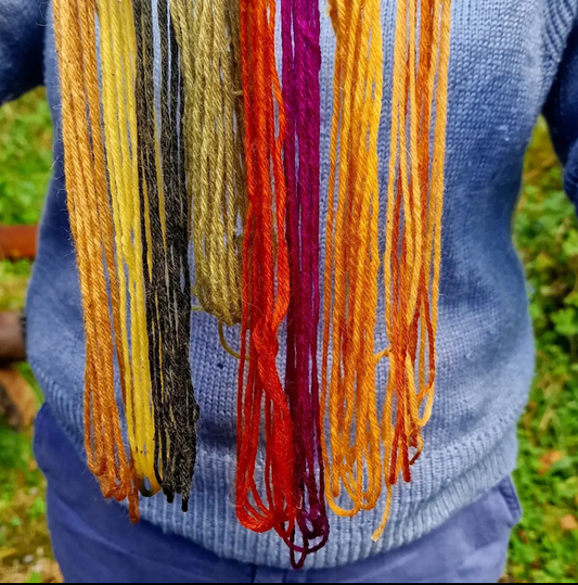 Rainbow of plant dyed yarns