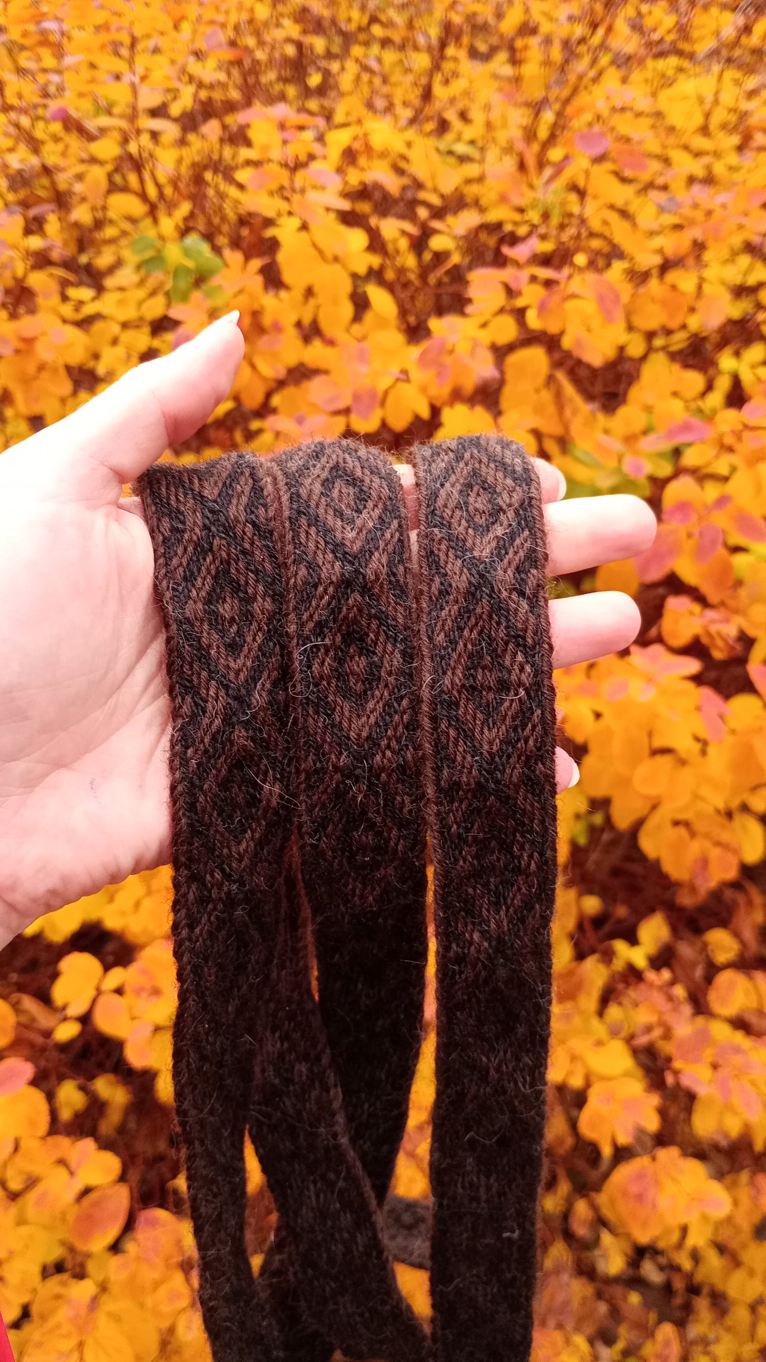 Autumn 🍁🍂