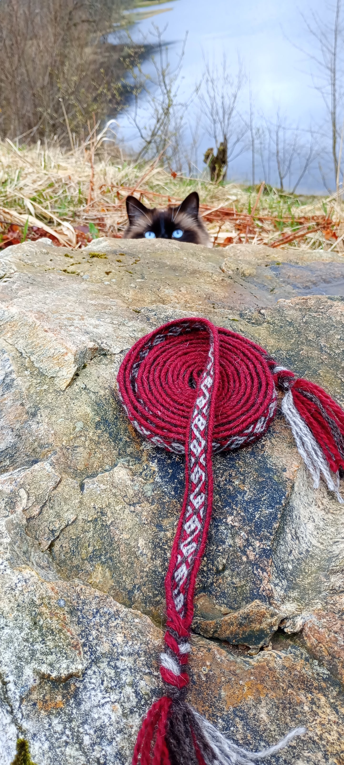 Tablet woven belt based on pre-christian Latvian band (cruelty free wool)