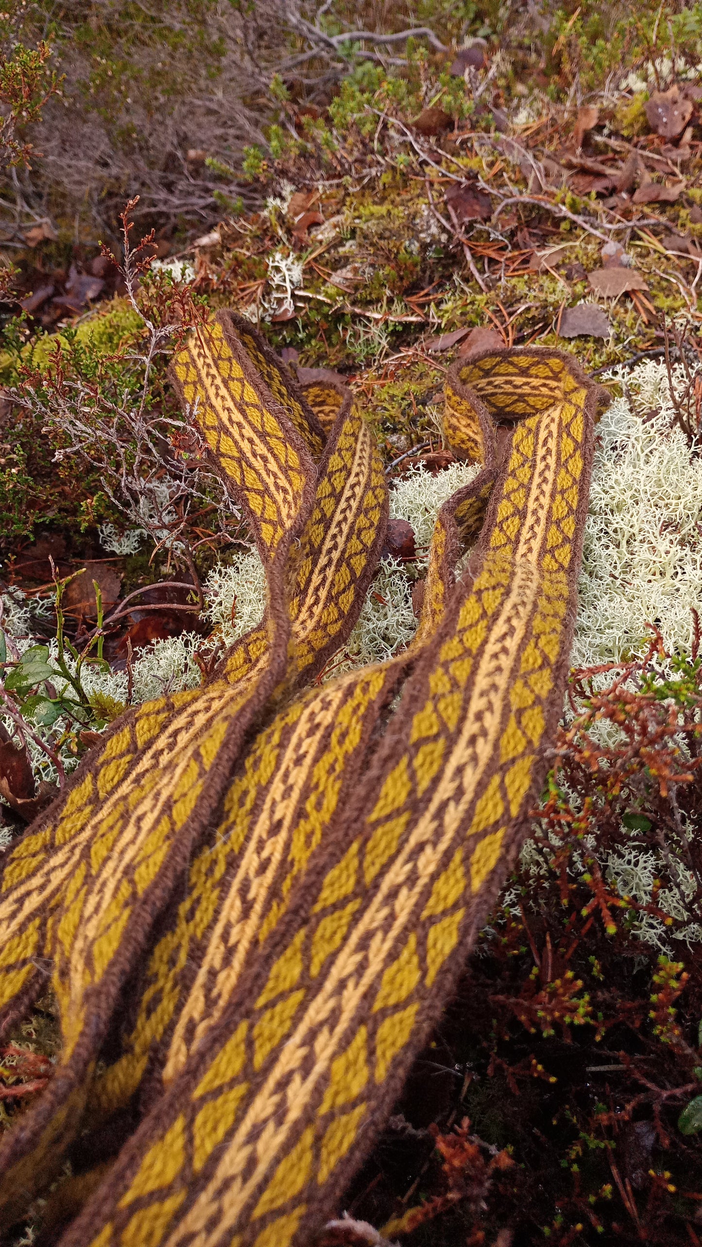 Long autumn coloured belt made of plant dyed yarns