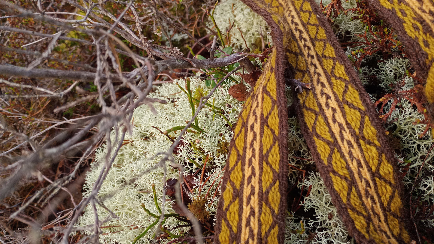 Long autumn coloured belt made of plant dyed yarns