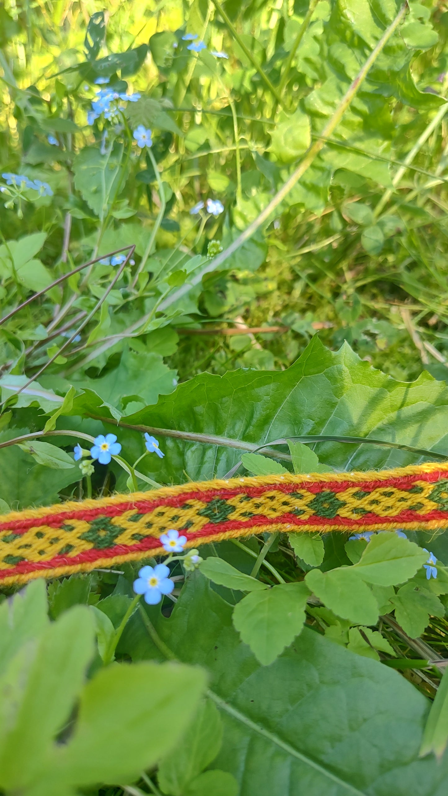 Tablet woven band based on medieval band from Zasinas, Lithuania