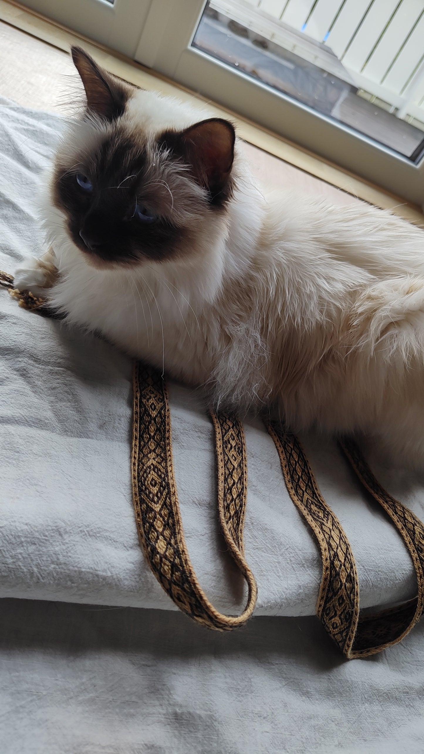 Belt with diamond pattern (plant dyed yarn)