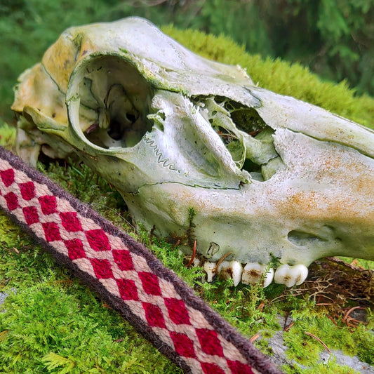 Robust belt with red diamonds