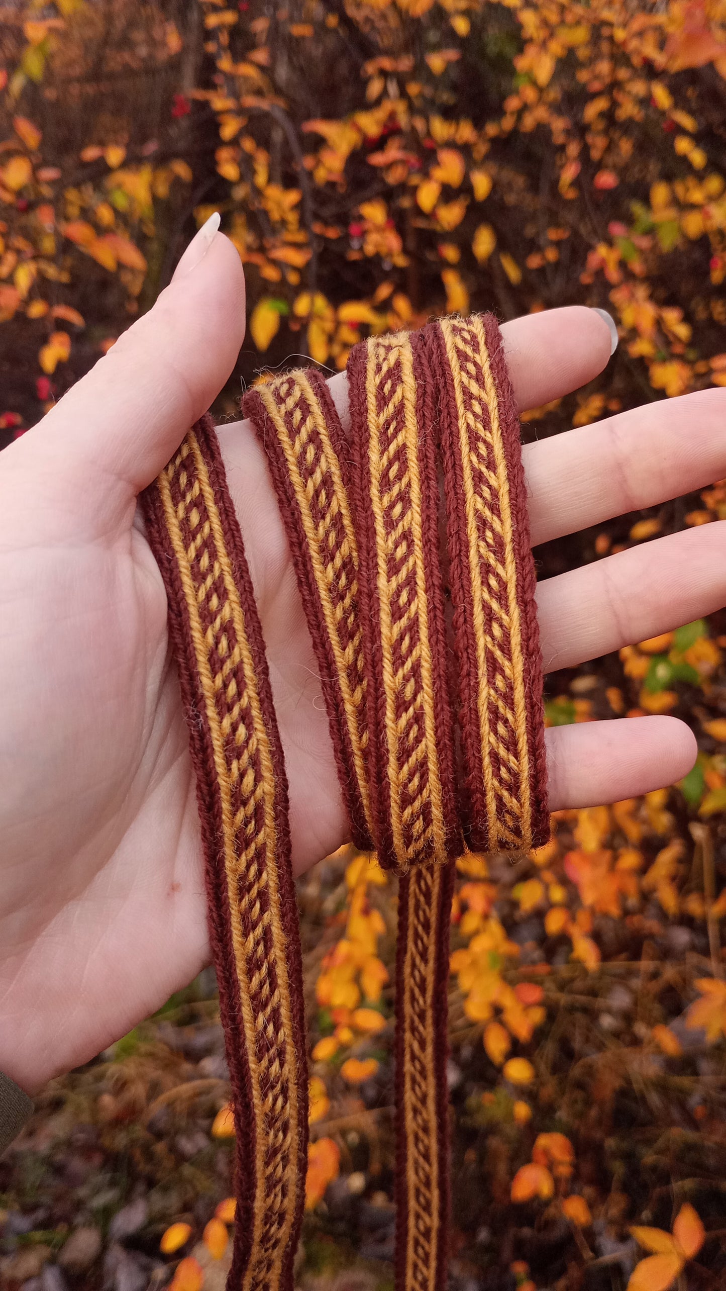 Ribbon / belt with variation of 9th century Oseberg narrow band pattern