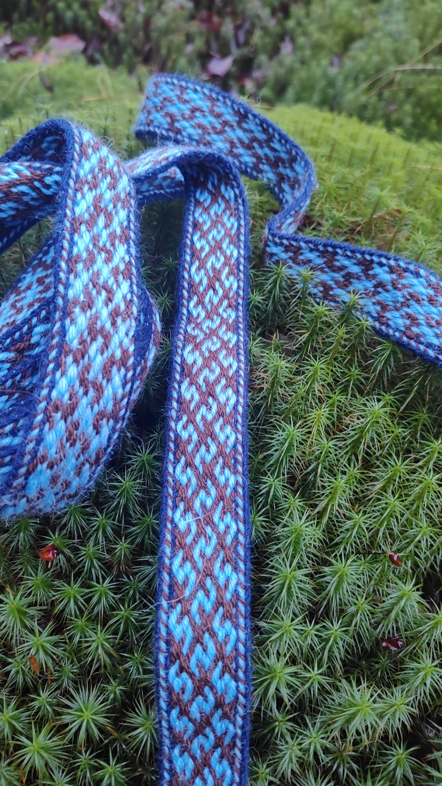 Belt in bright blue and brown