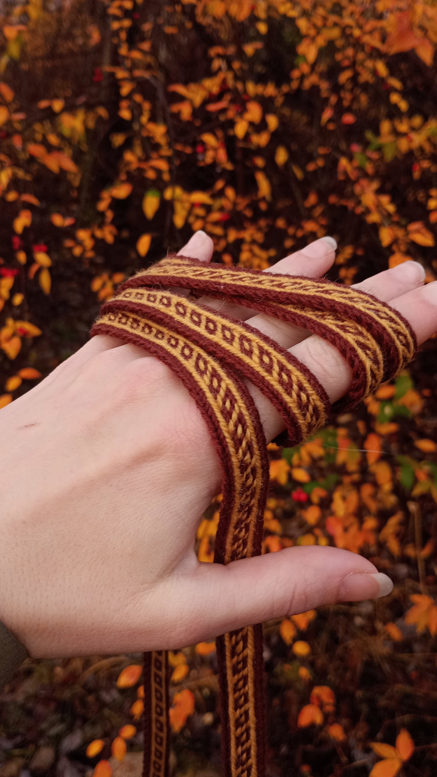 Ribbon / belt with variation of 9th century Oseberg narrow band pattern