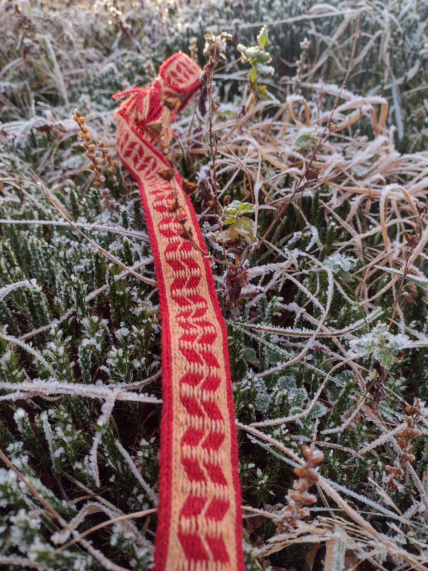 Fine belt with lozenge pattern in red